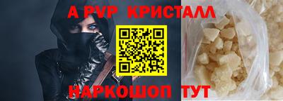 стаф Славгород