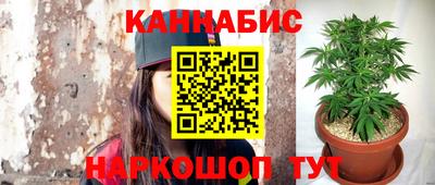 стаф Славгород