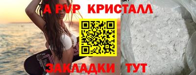 стаф Славгород