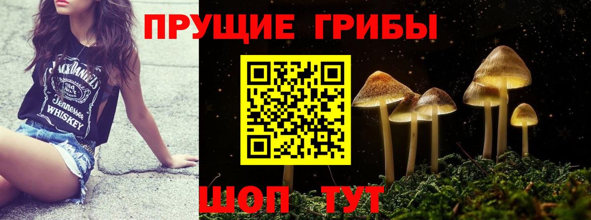 Галлюциногенные грибы Magic Shrooms  Вход с VPN  Галлюциногенные грибы мухоморы  Ногинск 